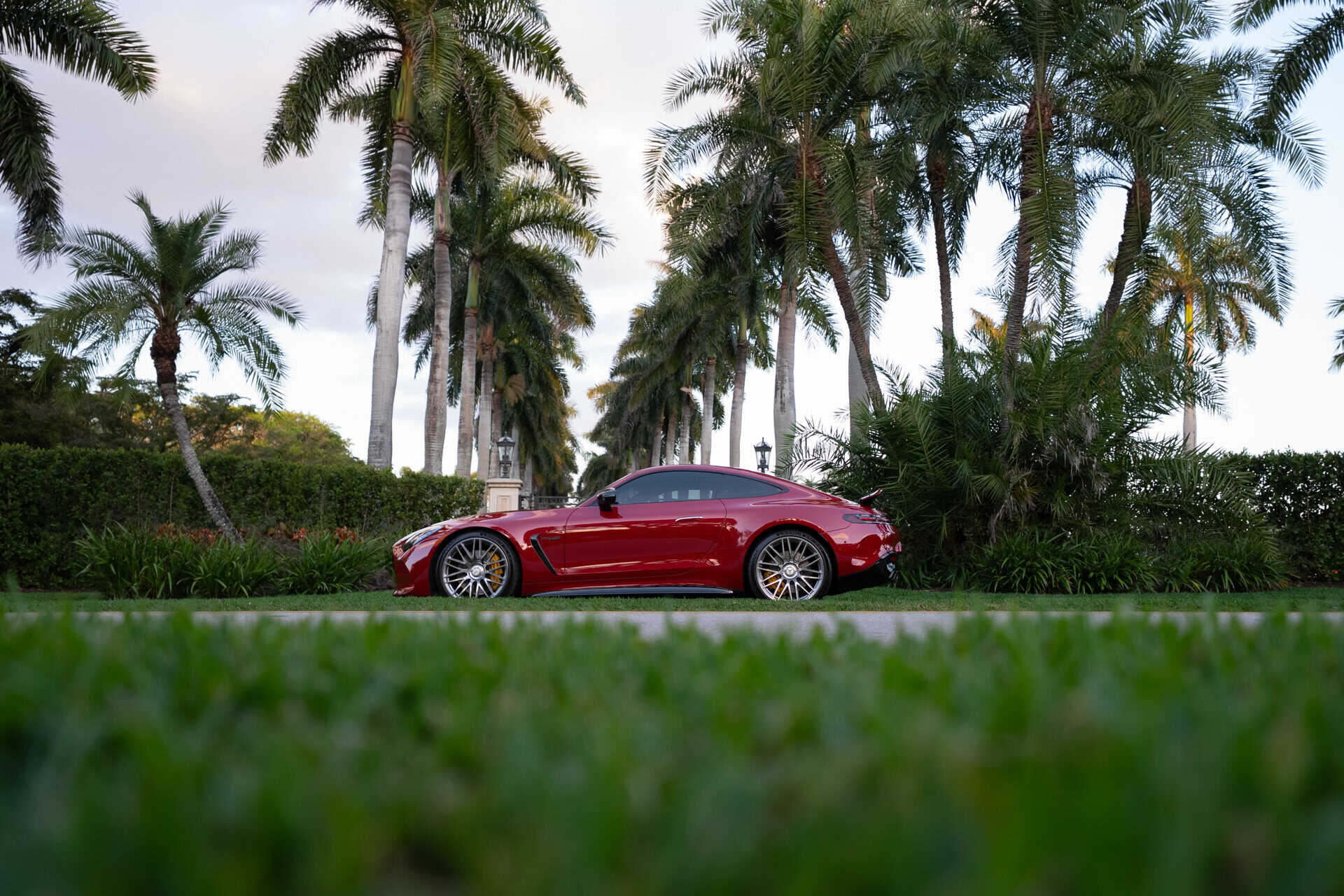 Mercedes-AMG GT55 photo 9